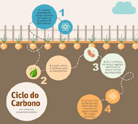 Imagem representando o sequestro de carbono na agricultura