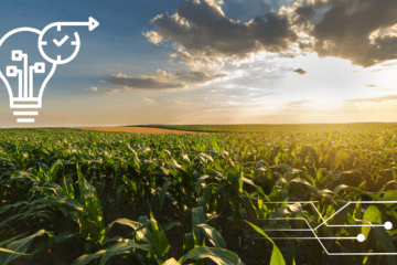 Futuro do agronegócio