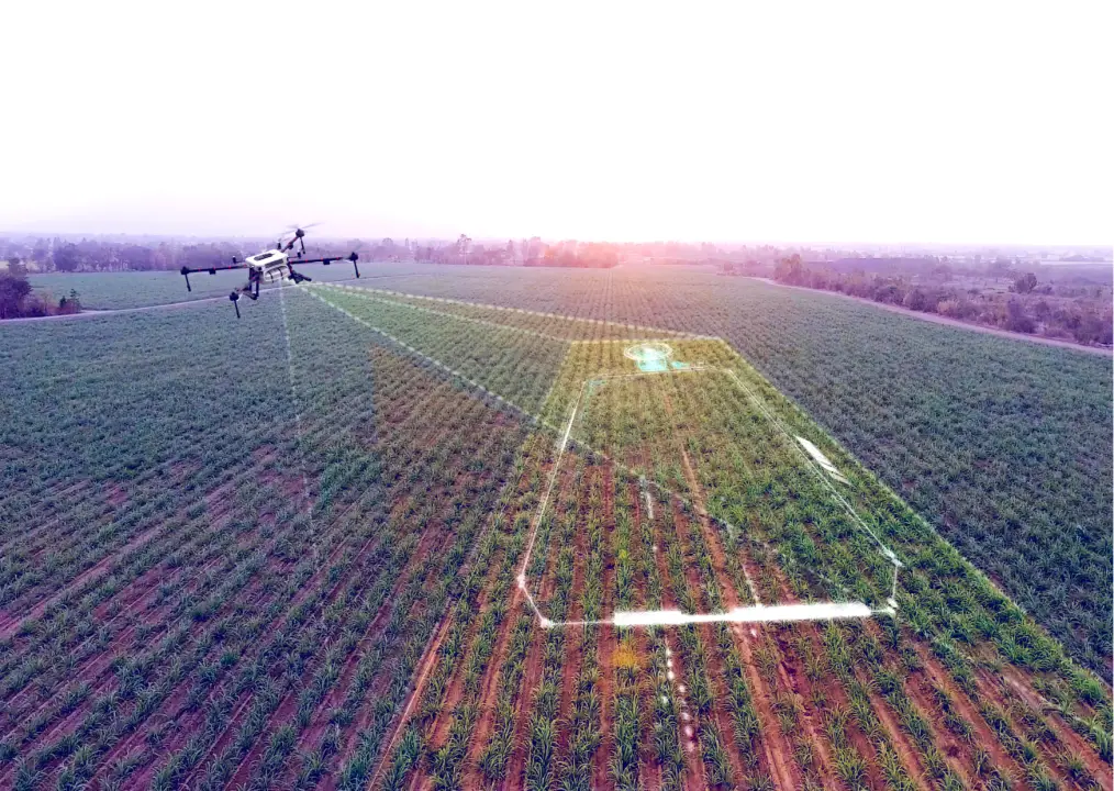 agricultura de precisão