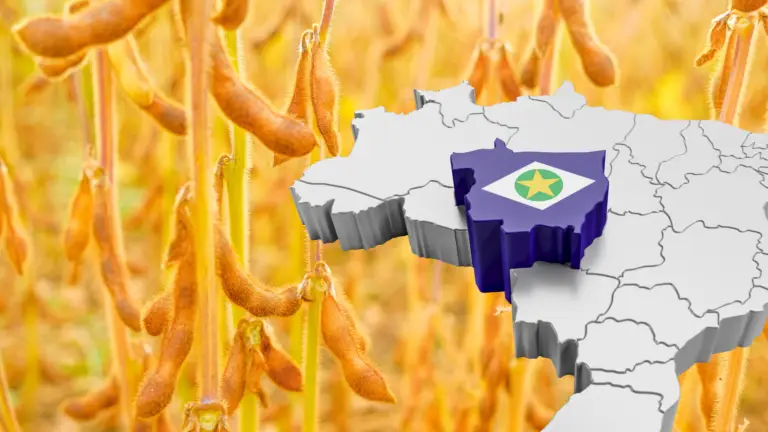 Mapa do Brasil com o estado de Mato Grosso destacado