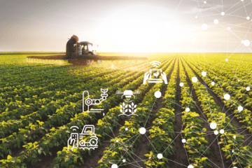 Imagens que representam a inteligência artificial na agricultura