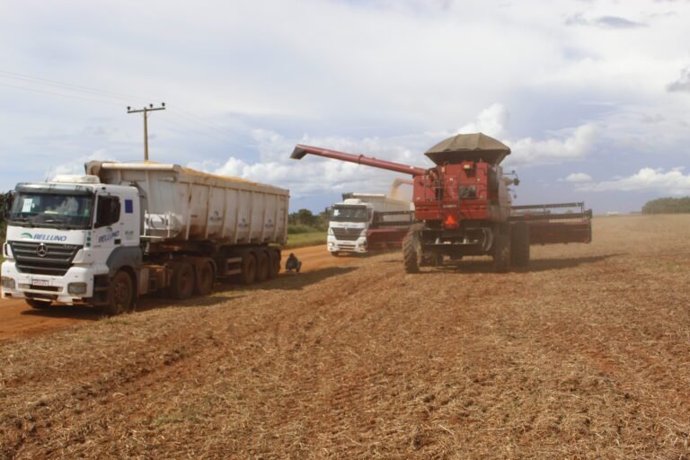 Maquinas e trabalhadores do agro