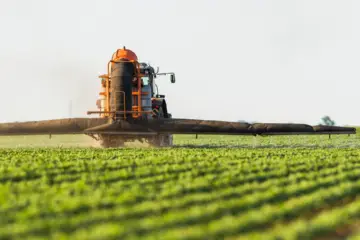 Defensivos agrícolas: tipos e dicas de boas práticas