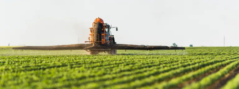 Defensivos agrícolas: tipos e dicas de boas práticas