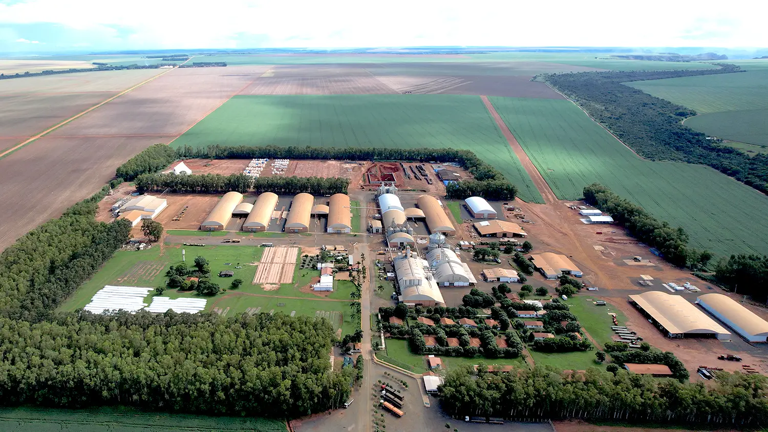 Fazenda Farroupilha - Petrovina Sementes