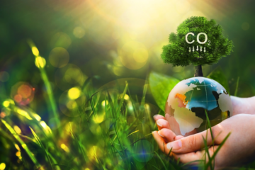 Sequestro de carbono na agricultura