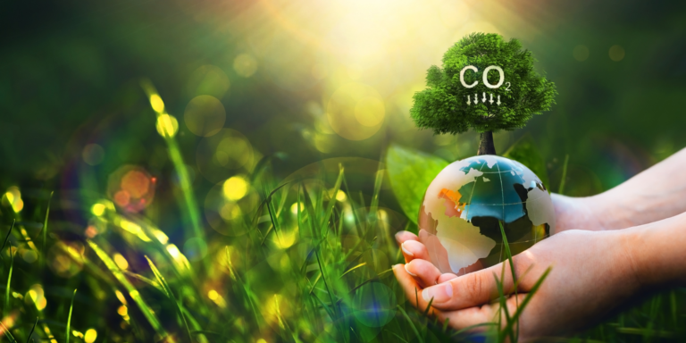 Sequestro de carbono na agricultura