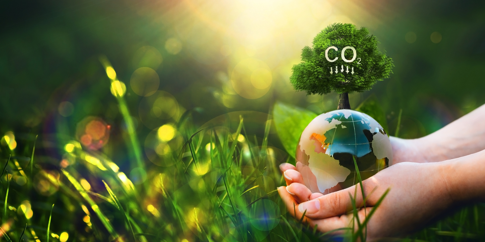 Sequestro de carbono na agricultura