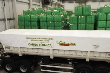 armazenamento e transporte das sementes de soja