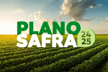 Plano safra 24/25