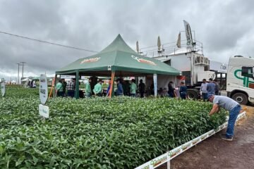 Estande da Petrovina na Dinetec