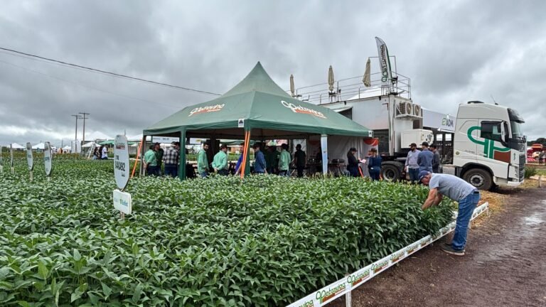 Estande da Petrovina na Dinetec