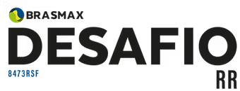 logo Desafio RR