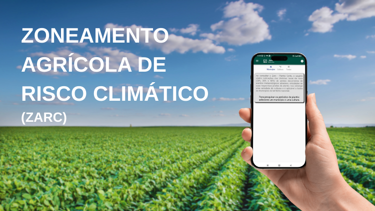 Imagem destaque artigo sobre zoneamento agrícola de risco climático - imagem de um celular com o aplicativo zarc aberto e uma lavoura de fundo