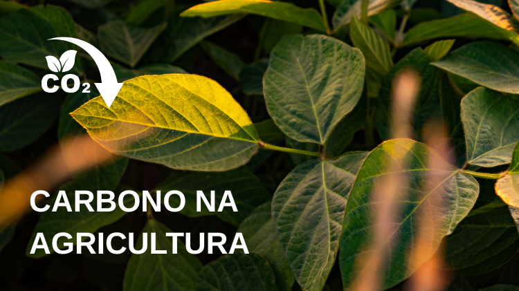 imagem de ilustração para o artigo: Carbono na Agricultura
